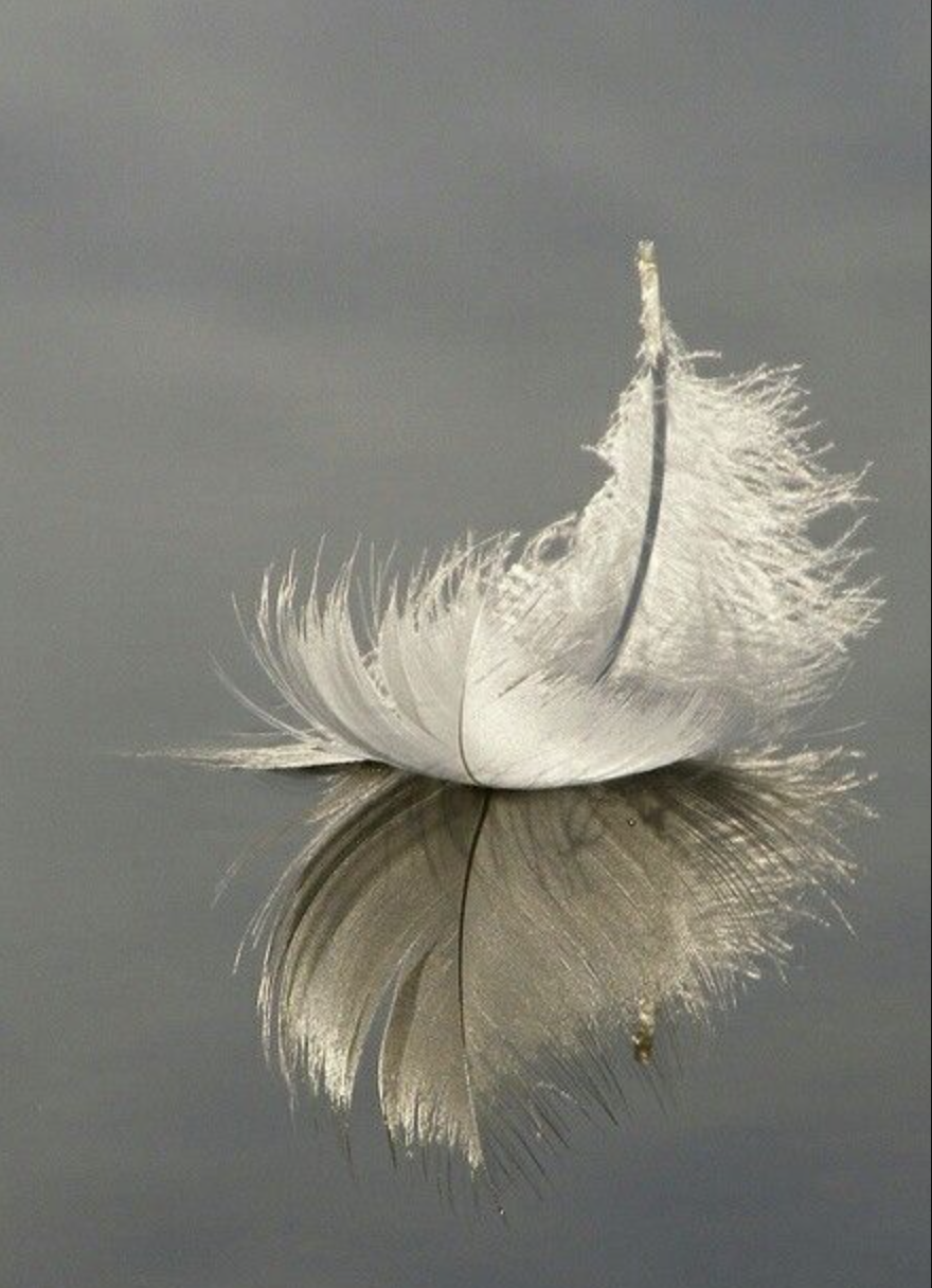 BALIK AY TUTULMASI 2025