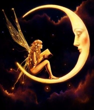 BAŞAK BURCU YENIAYI