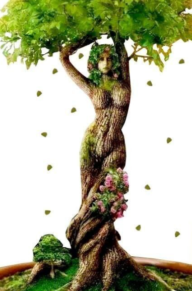 GÜNEŞ BAŞAK TRANSİTİ